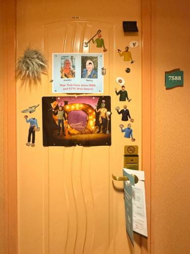STTC-2025-DOORS-249