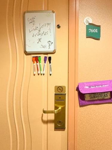 STTC-2025-DOORS-251