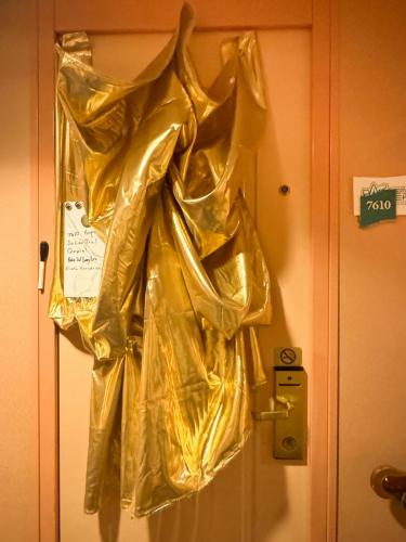 STTC-2025-DOORS-253