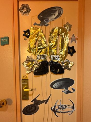 STTC-2025-DOORS-262
