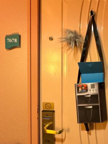 STTC-2025-DOORS-263